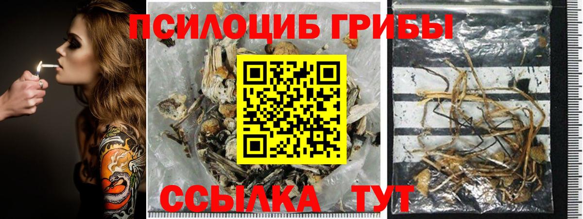 Псилоцибиновые грибы мицелий  Вход с VPN  Мегион 